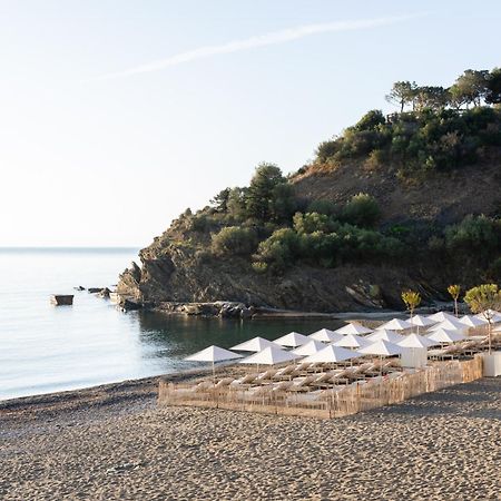Les Elmes - Hotel, Spa & Plage Privee Banyuls-sur-Mer Exteriör bild